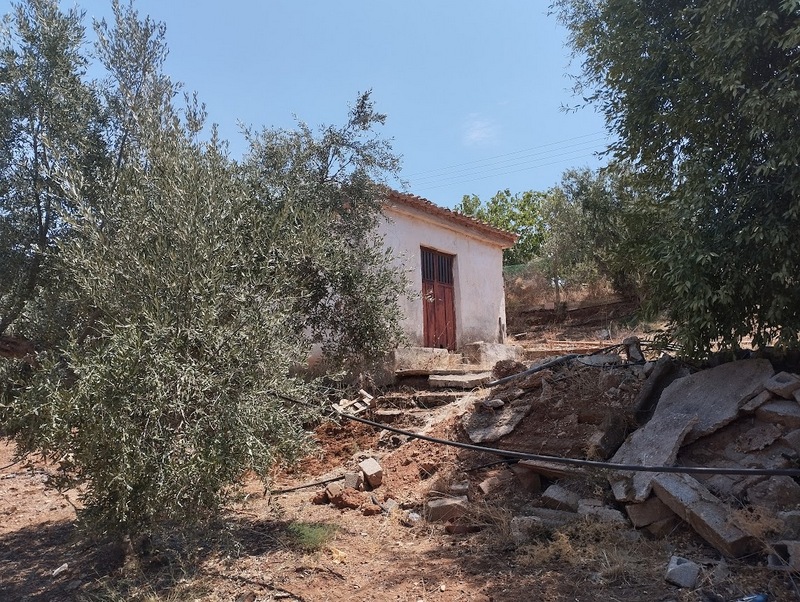 Olivenland zum kaufen Nähe Gargaliani