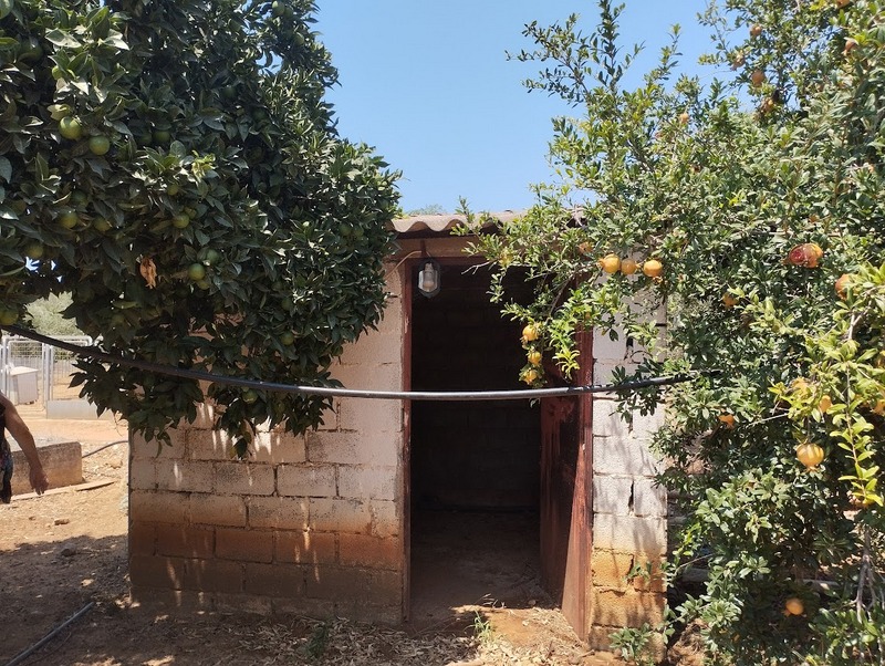 Olivenland zum kaufen Nähe Gargaliani