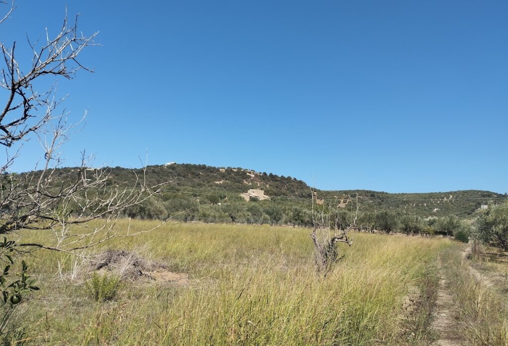 Grundstück in Gialova, Messenien