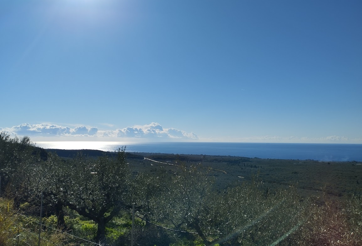 Land kaufen in Gargaliani Messenien