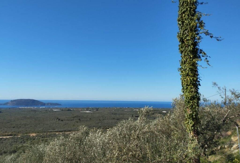 Land kaufen in Gargaliani Messenien
