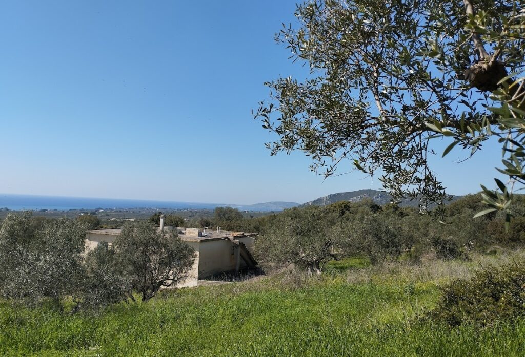 Land zu verkaufen in Tragana Messenien