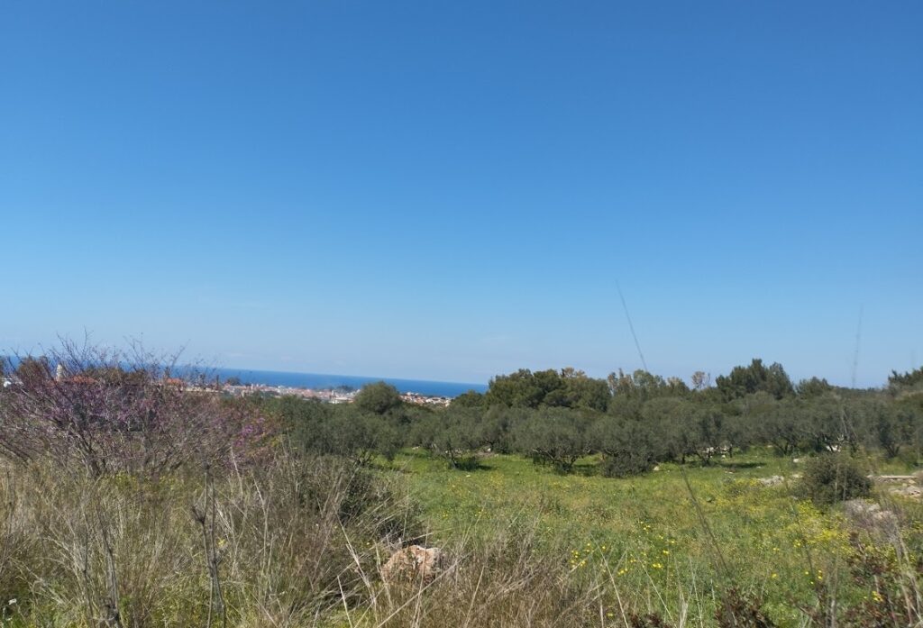 Grundstück zu verkaufen in Filiatra Messenien