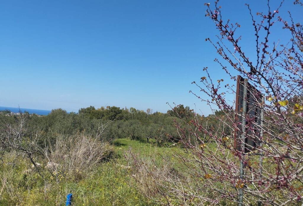 Grundstück zu verkaufen in Filiatra Messenien