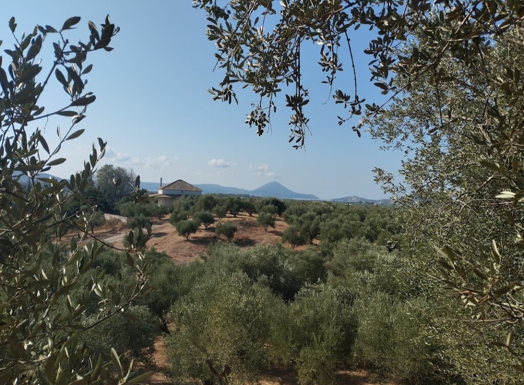 Grundstück in Tragana Messenien zu verkaufen