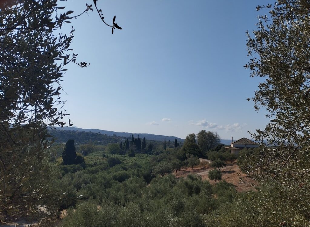 Grundstück in Tragana Messenien zu verkaufen