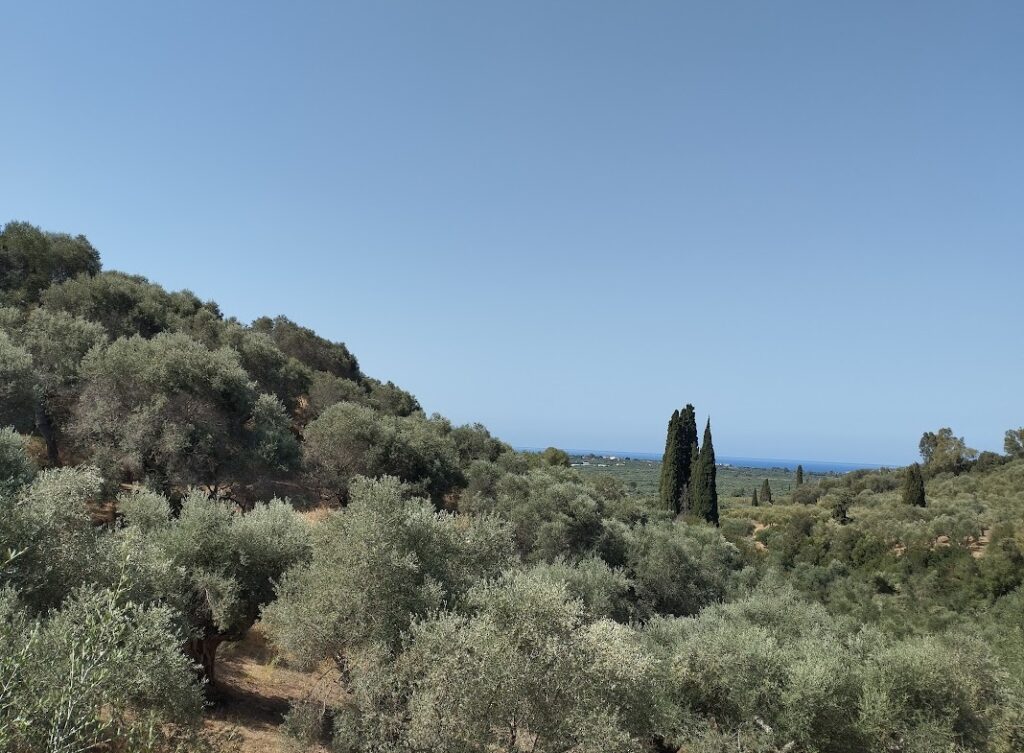 Grundstück zum verkaufen in Pisaski Messinia