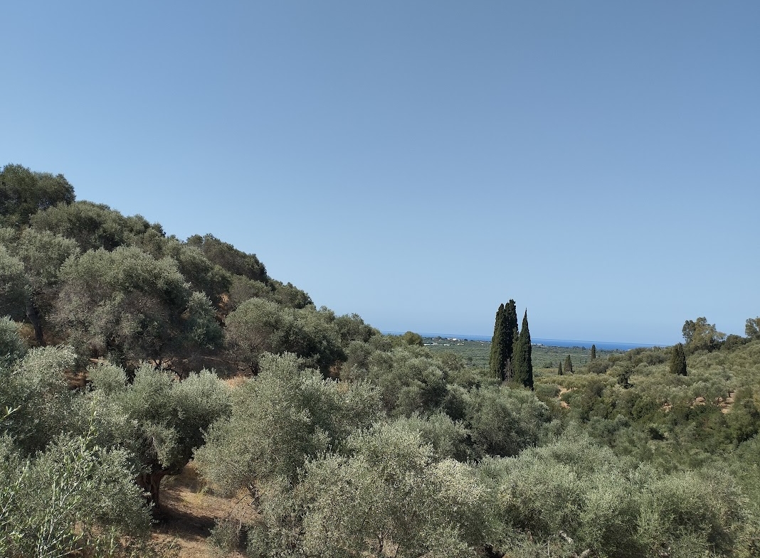 Grundstück zum verkaufen in Pisaski Messinia