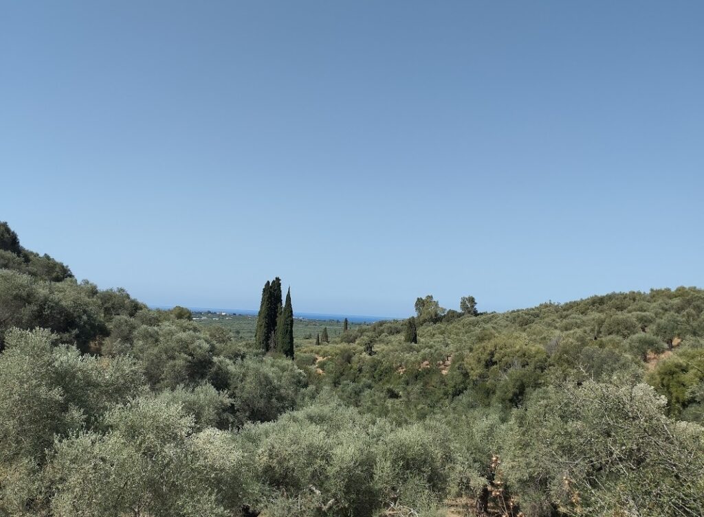 Grundstück zum verkaufen in Pisaski Messinia