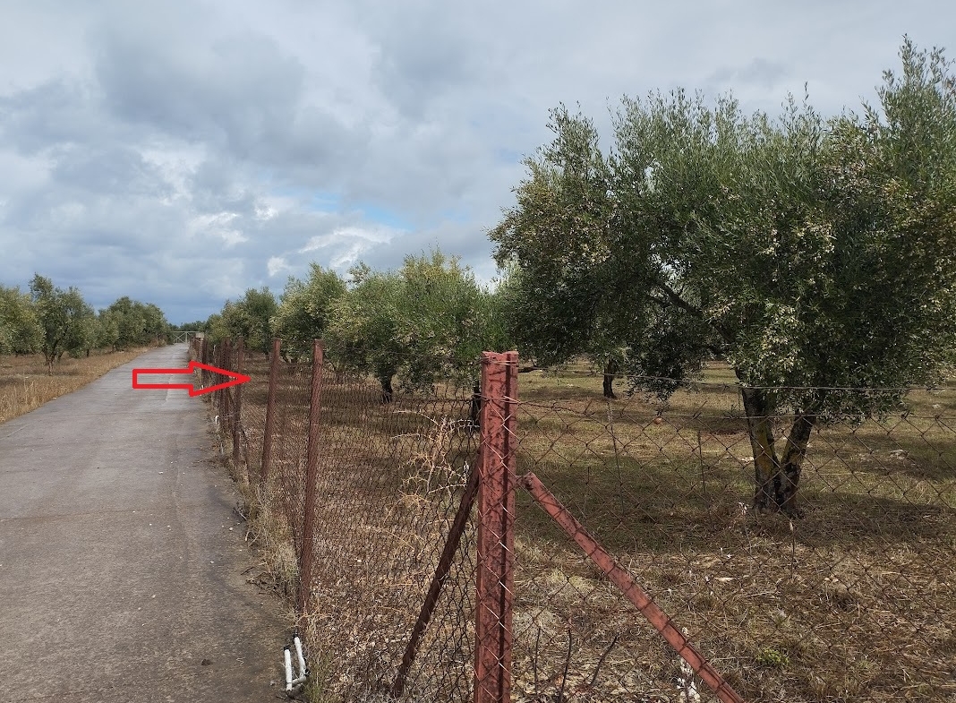 Grundstück in Agia Kyriaki