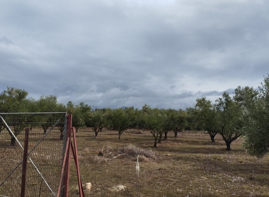 Grundstück in Agia Kyriaki