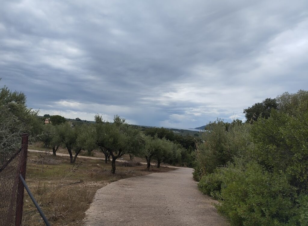 Grundstück in Agia Kyriaki