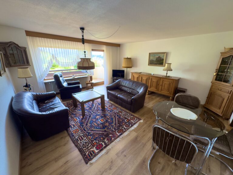 Ein Traumhafter Bergblick von morgens bis abends!